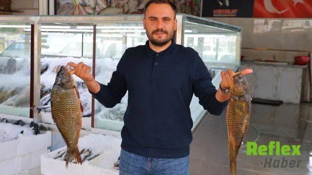 Kahramanmaraş’ta Balık Sezonu Tezgahlarda Hareketlilikle Başladı