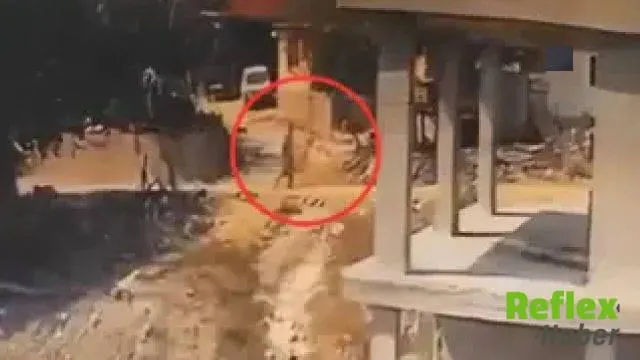 İnşaatta yatan köpeğe sopayla şiddet uyguladı