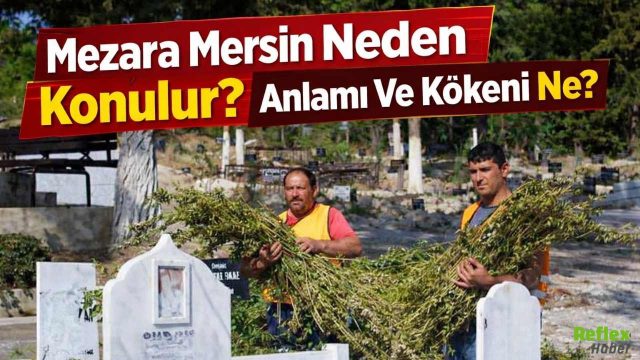 Mezara Mersin Neden Konulur? Anlamı Ve Kökeni Ne? 19 Mart 2026