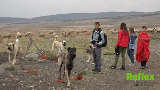 İ̇talyan Uzmanlar Eskişehir’de Türk Çoban Köpeklerini İ̇nceledi