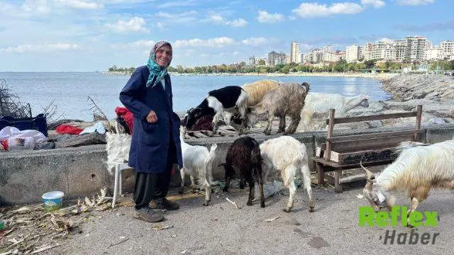 Bostancı Sahilinde 50 Keçinin Sorumluluğunu Üstlenen Sevgi Karabacak