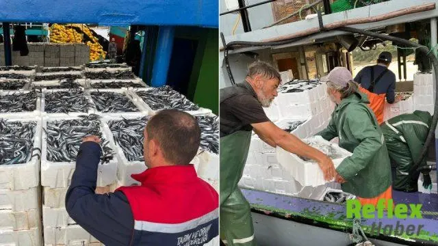 Didim’de Hamsi Kotası İ̇çin Denetimler Sürüyor