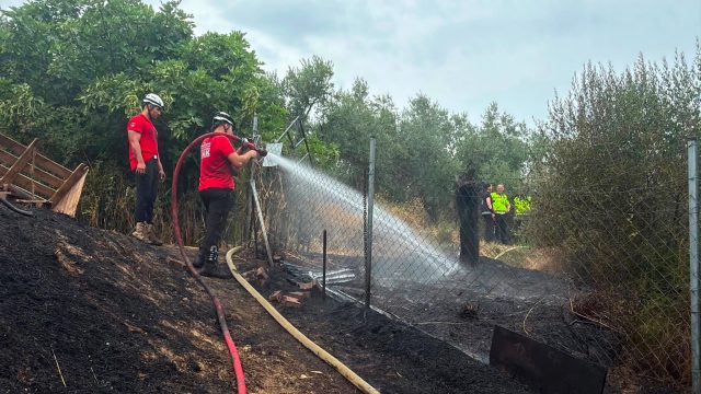 Mudanya'da Çıkan Yangın Ormanlık Alana Ulaşmadan Söndürüldü