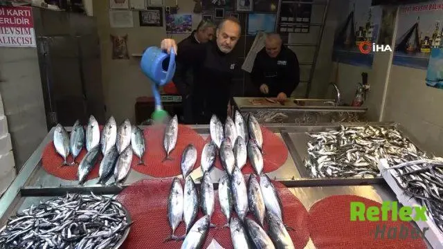 Trabzon'da Palamut Bolluğu: 25 Yılın En Yoğun Sezonunda 12 Ton Avlandı