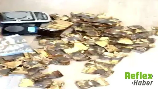 İ̇zmir Ve Muğla'daki Operasyonda 7 Tutuklama