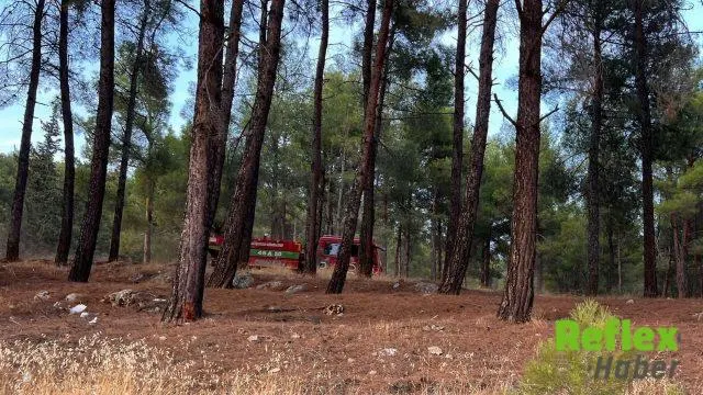 Kahramanmaraş’ta orman yangını büyümeden söndürüldü