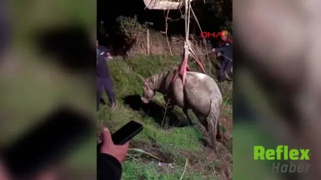 Kanalizasyon Kuyusuna Düşen At Eskişehir'de Koruma Altına Alındı