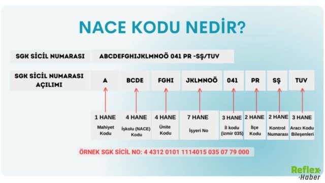 NACE Kodu Nedir? Nerede Kullanılır?