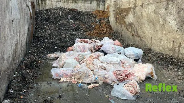 Serdivan'da Domuz Eti Tespit Edilen 2,6 Ton Sucuk İ̇mha Edildi