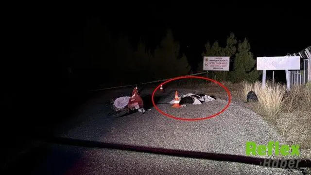 Gazipaşa'da Yasin Erdem Bayır Cinayetinde Baba Gözaltında