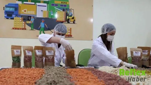 Kamu Gıda Atıklarıyla Günlük 31 Bin 274 Kilogram Mama Üretiliyor