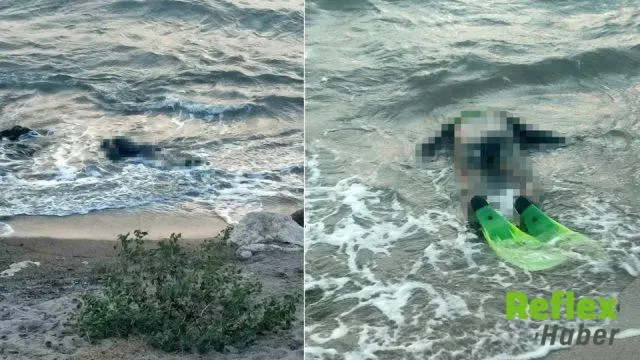 Didim'de balık tutmaya giden muhasebeci yardımcısı ölü bulundu
