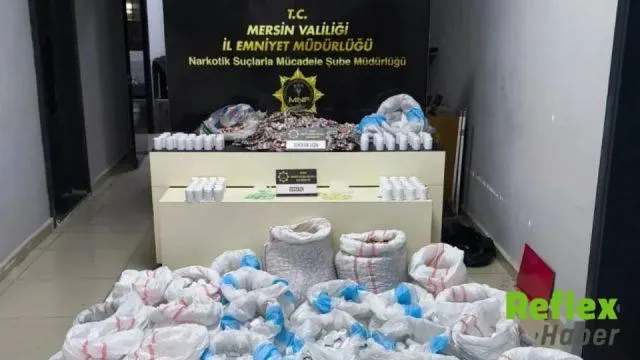 Minibüsten 256 bin 900 sentetik ecza hapı çıktı: 2 tutuklama