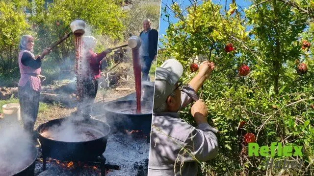 Silifke’de Nar Hasadı Başladı: Geleneksel Nar Ekşisi Üretimi Sürüyor