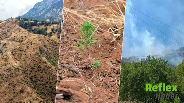 Kahramanmaraş’ta Yanan 92 Hektarlık Alan İ̇çin 27 Bin Fidan Dikildi