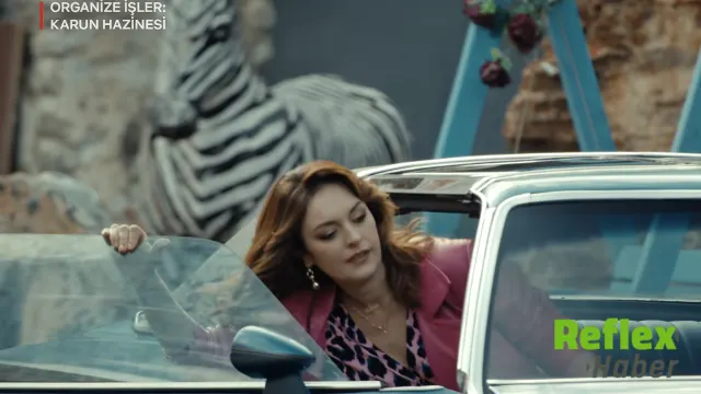 Organize İ̇şler: Karun Hazinesi Netflix'te İ̇zleyicilere Açıldı