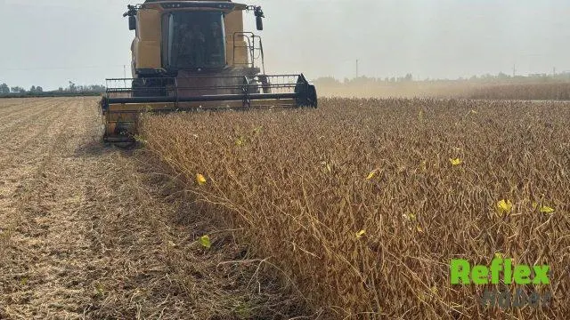 Adana’da Soya Hasadı İ̇çin Biçerdöver Tarifesi Açıklandı