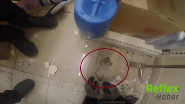 Diyarbakır'da Demir Profile Sıkışan Yavru Kedi İ̇tfaiyeyle Kurtarıldı