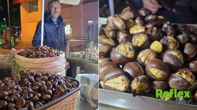 Bandırma’da Kestane Sezonu Başladı: Kilogram Fiyatı Bin Liraya Ulaştı