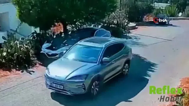 Muğla'da yolda yatan iki köpeğin üzerinden geçen sürücü kamerada