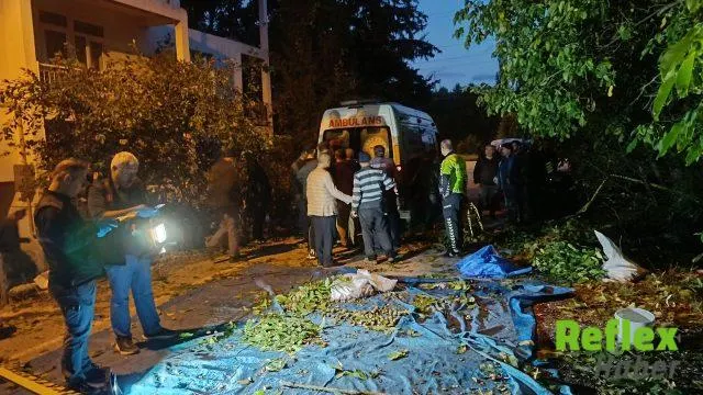 Ceviz Toplarken Ağaçtan Düşen Ramazan Kalyon Hayatını Kaybetti