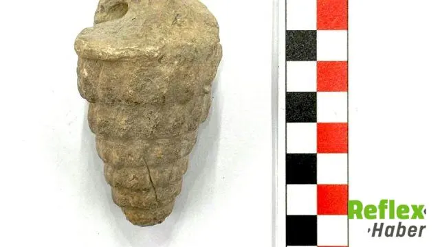 Külhöyük kazılarında 66 milyon yıllık deniz canlısı fosili bulundu