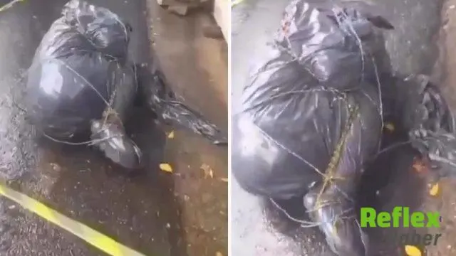 Sao Paulo'da Siyah Poşetlere Sarılı 6 Ceset İ̇çin Soruşturma