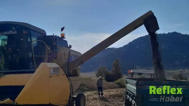 Andırın’da Ayçiçeği Hasadı Tarlalarda Başladı