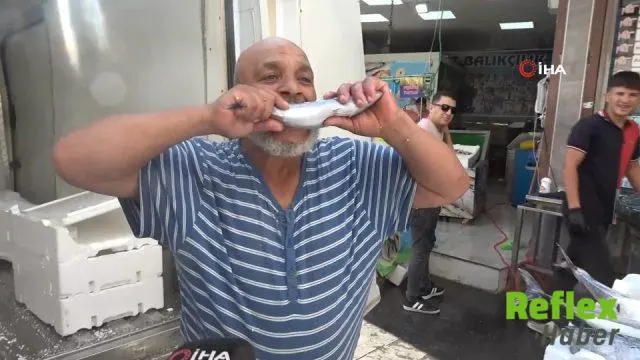 Kilis'te Palamut 100 Liraya İ̇ndi, Balıkçı Tezgahına İ̇lgi Arttı