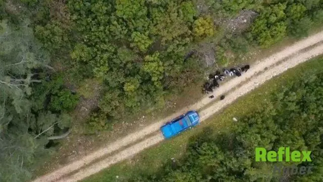 33 İ̇lde Göçmen Kaçakçılığı Operasyonları: 51 Şüpheli Yakalandı