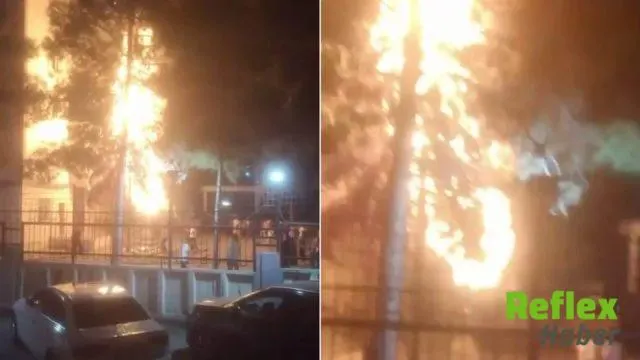 Diyarbakır'da Havai Fişek Nedeniyle Ağaç Alev Aldı