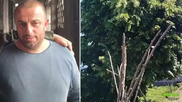 Rize'de Feci Olay! Ağaçta Elektrik Akımına Kapılan Adam Yaşamını Yitirdi