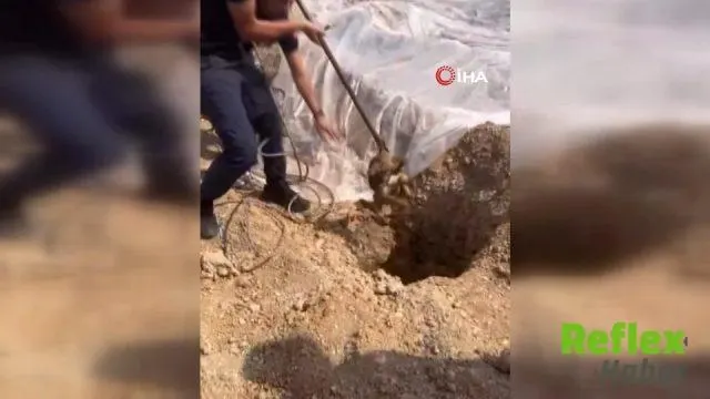 Adana’da şantiyedeki kuyuya düşen köpeği itfaiye kurtardı