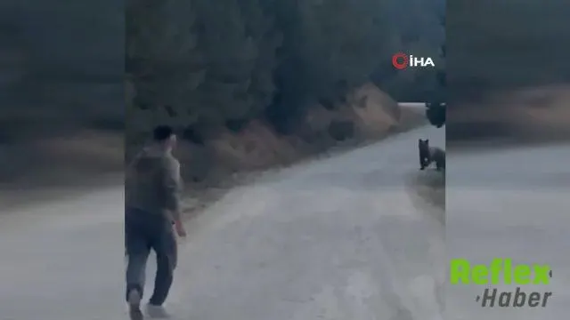 Bolu Mudurnu'da karşılaştıkları ayıyı taş atarak uzaklaştırdılar