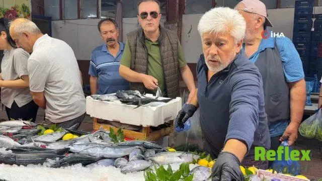 Bolu’da palamut 125, hamsi 200 liradan tezgâhta
