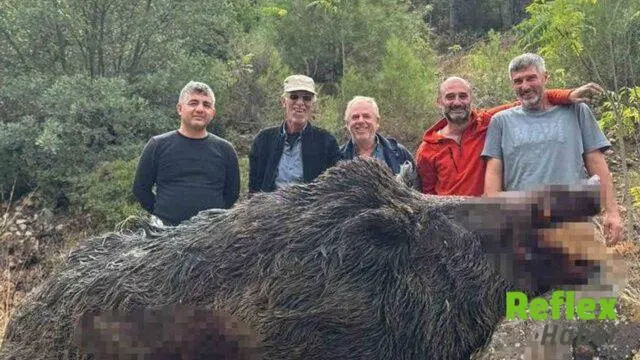 Bilecik’te Mısır Tarlalarına Zarar Veren 350 Kiloluk Yaban Domuzu Vuruldu