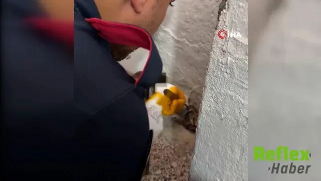 Osmaniye’de Su Giderine Sıkışan Yavru Kedi Kurtarıldı