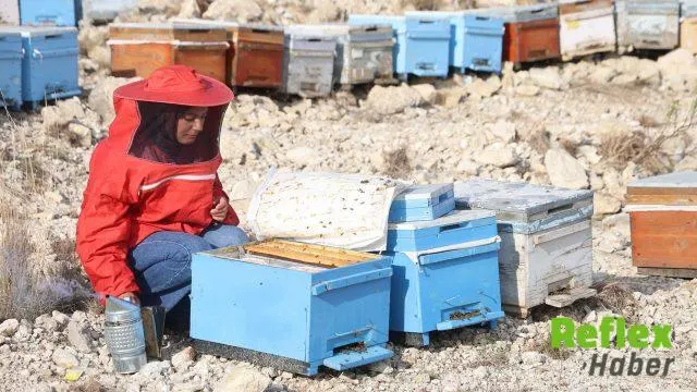 Kahramanmaraş’ta Arıların Korunması İ̇çin Çağrı Yapıldı