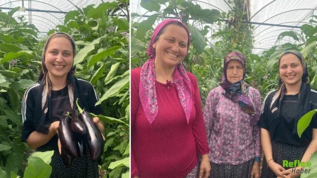 Sıcakta Durmadan Üreten Üç Kuşak Kadının Seradaki Yaşam Mücadelesi