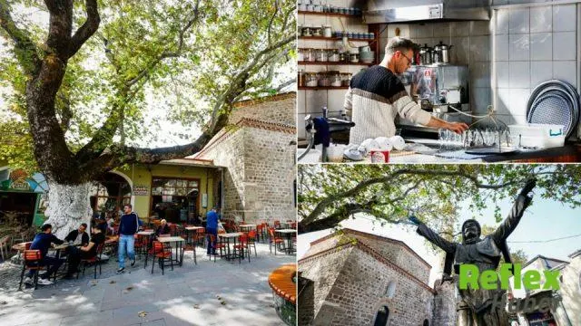 Bergama’nın Tarihi Çınarı Yüzyıllara Meydan Okuyor