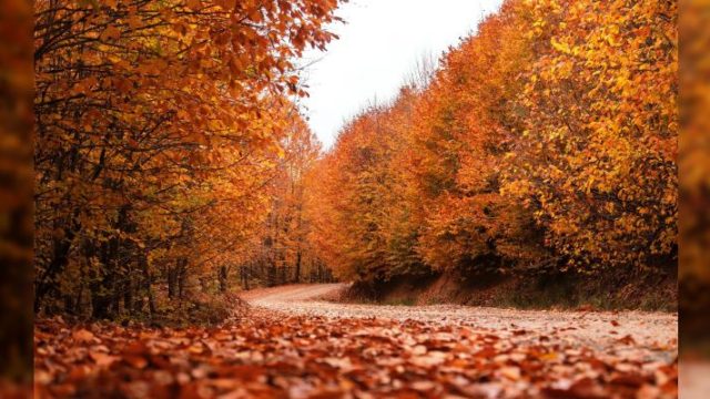 Sonbahar Eş Anlamlıları ve Kullanımları