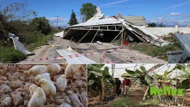 İ̇mamoğlu’nda Fırtına Seraya Ve Tavuk Çiftliğine Büyük Zarar Verdi