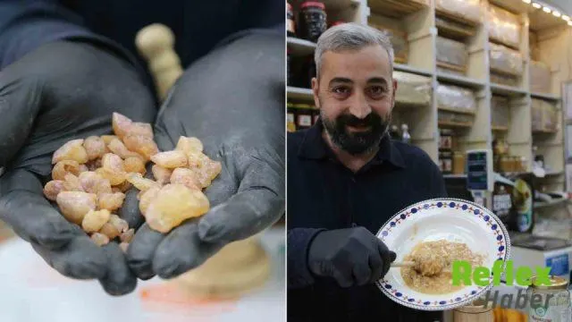 Artvin’de Köknar Sakızı İ̇çin Riskli Hasat: Kilosu 10 Bin Liraya Ulaşıyor