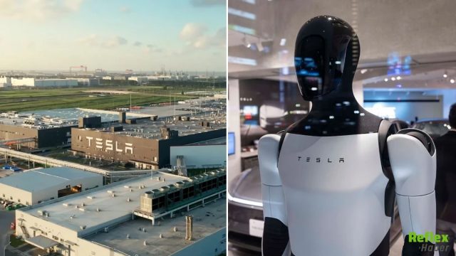 Tesla Türkiye Faaliyet Alanını Genişletti: İnsansı Robot, Güneş Enerjisi Ve Taksi Hizmeti Geliyor
