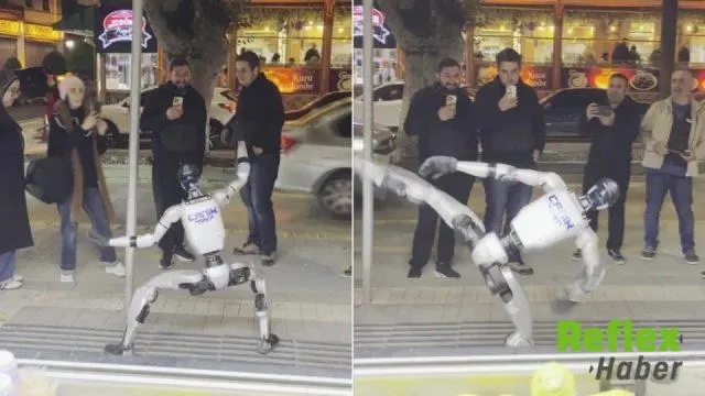 Amasya Sokaklarında Karate Gösterisi Yapan Cani̇kman İ̇lgi Odağı Oldu