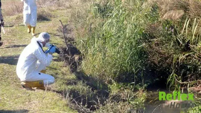 Kahramanmaraş'ta Sulama Kanalında Kimliği Belirsiz Erkek Cesedi Bulundu