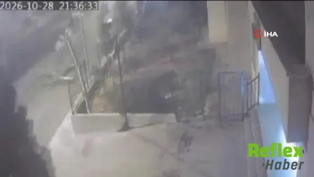 Mardin’de Devrilen Ağaç Motosikletliyi Teğet Geçti