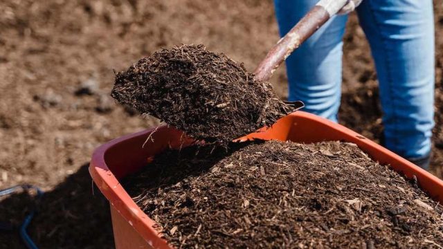 TÜİK Açıkladı: Tarımsal Girdi Fiyatları Mayısta Yüzde 36,65 Arttı