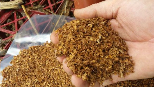 Tütün endüstrisi düşmanımız mı? Başımızın tacı mı?