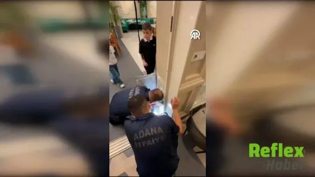 Adana'da Kafe Duvarına Sıkışan Kedi Yavrusu Kurtarıldı